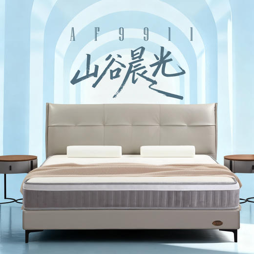 AF9911真皮床架 商品图0