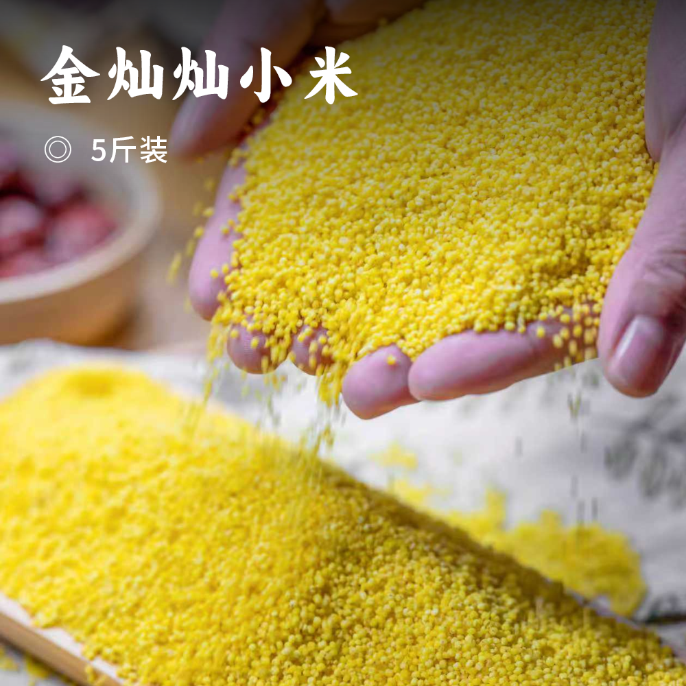 金灿灿小米 |  金黄透亮 粒粒分明 颗粒饱满无杂质 粘稠软糯 米香浓郁 营养健康
