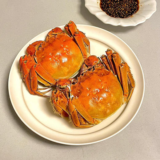 2025正宗的阳澄湖大闸蟹来了！只选精品阳澄湖大闸蟹 口感肥美 黄肥膏白 蟹黄鲜香，产地顺丰直达到家 商品图4