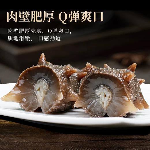 【72小时发货】央企出品中国农垦海参 商品图1