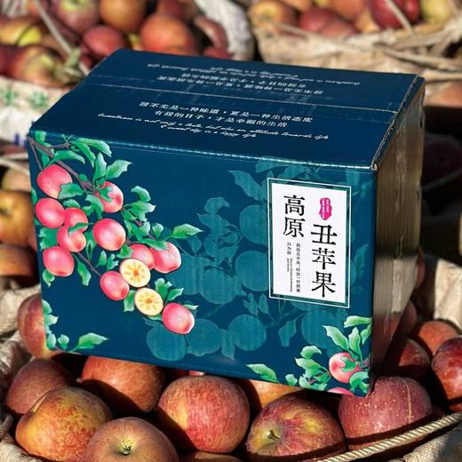 【大凉山丑苹果】看着丑吃着香，刚下树糖心率超高的 商品图1