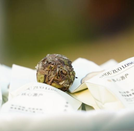 高山白茶 2024年 荒野寿眉 龙珠 5g/颗 80颗/盒 商品图0