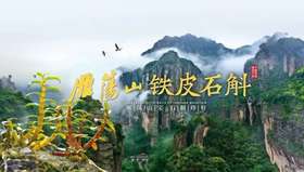  当千年仙草遇见基因组学！铁皮石斛汁赞助顶尖科学会议引领国潮养生破圈