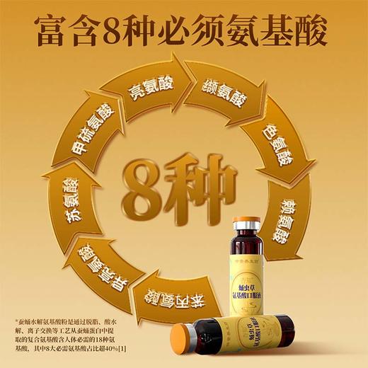 会员专属仲景蛹虫草氨基酸口服液 专业增强免疫力 商品图4