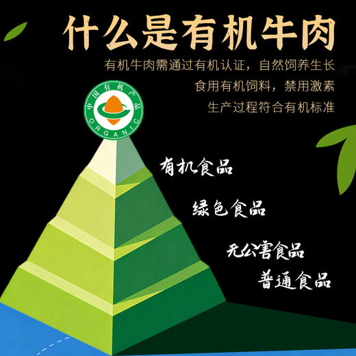 金陇雪原切牛排 谷饲 国产牛肉生鲜食材 菲力牛排150g 商品图9