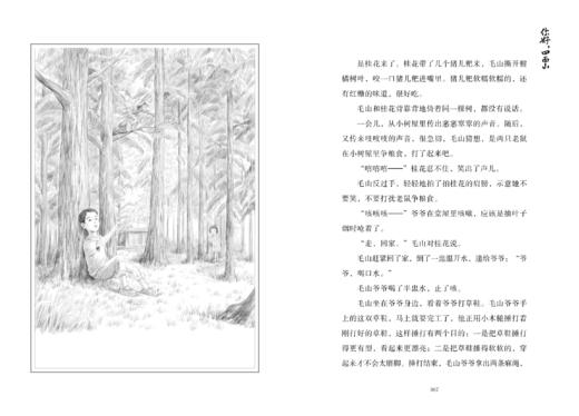 《你好，四面山》全一册  10-12岁   富有重庆风采，讲述重庆山区伢子的多彩生活  爱与温暖终会融化所有的隔阂   儿童文学作家、冰心儿童图书奖获得者曾维惠全新力作 商品图3