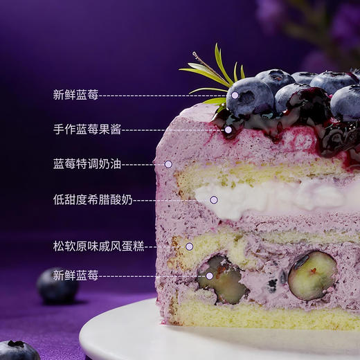 【幽谷 · 蓝莓秘境】蓝莓酸奶轻乳酪 商品图5