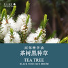 茶树黑种草面部精华油15ml    A-5396 商品缩略图1