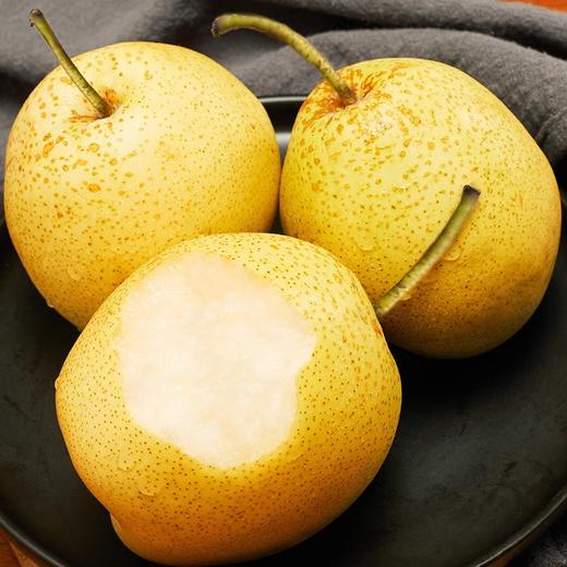 现摘现发！河北正宗雪花梨，脆爽多汁超解腻 商品图0