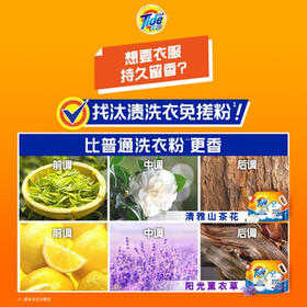 汰渍洗衣免搓粉 清雅山茶花3.3斤装 洗衣粉非爆炸盐皂粉 持久留香30天 /家庭清洁/纸品 /衣物清洁 /洗衣粉