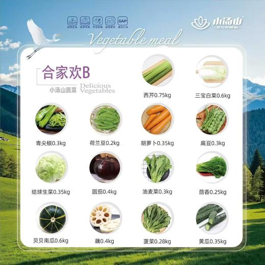 小汤山无公害种植合家欢蔬菜套餐 商品图1