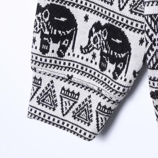 WY1261SDSA男士秋冬新款痞帅男装简约趣味动物条纹连帽卫衣百搭宽松上衣 商品图4