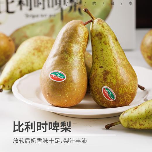 比利时啤梨丨啤梨需要放软食用，口感软甜爆汁，水分充足，放软以后可以在冰箱冷藏一下感觉吃冰淇淋一样，喜欢吃梨的朋友不要错过！⭐️顺丰快递 商品图0