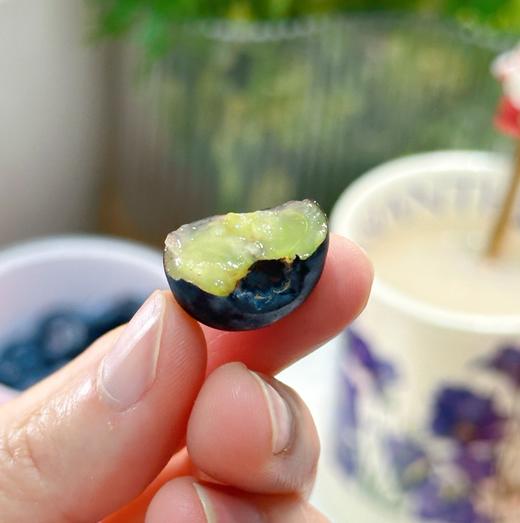 云南L25花香蓝莓 商品图1