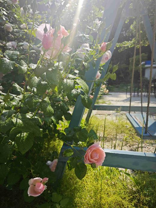 储值卡会员介绍 商品图11