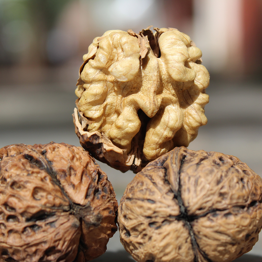 『云南野生甜味核桃』深山原生态干核桃，果仁醇香，不涩口、更油润，嚼起来有韧劲