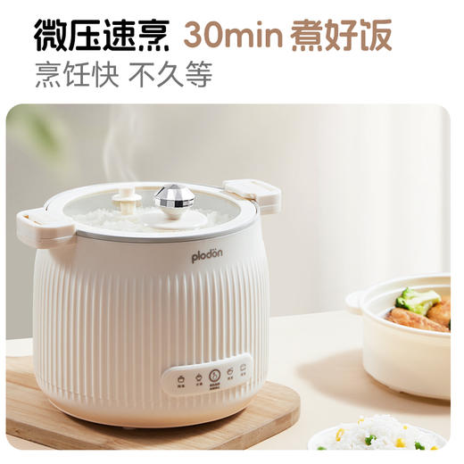 浦利顿婴儿微压电炖陶瓷釉宝宝专用电饭煲BB煮粥PLD-MC-03 商品图1