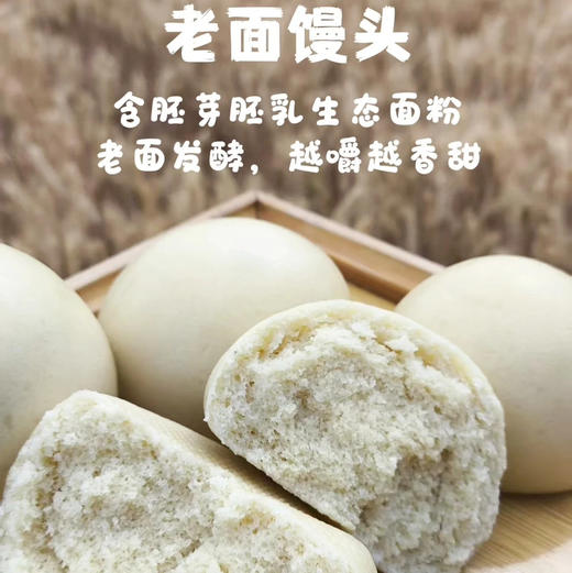 【下单后48小时发货】老面馒头/全麦馒头/红豆包/咸香花卷/红枣红糖馒头 5袋装/10袋装，80g/个 商品图0