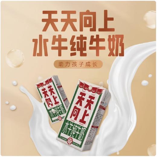 西江乳业天天向上水牛奶纯奶4.1g乳蛋白 125ml*4 商品图0