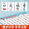 【斗半匠】看图识字挂图3-6岁幼小衔接大字注音趣味图文识字贴合教材 商品缩略图2
