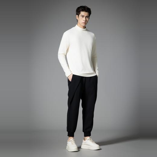 PINLI品立2025秋季新款男士立领纯色百搭打底长袖T恤上衣潮牌体恤GD253111185 商品图5