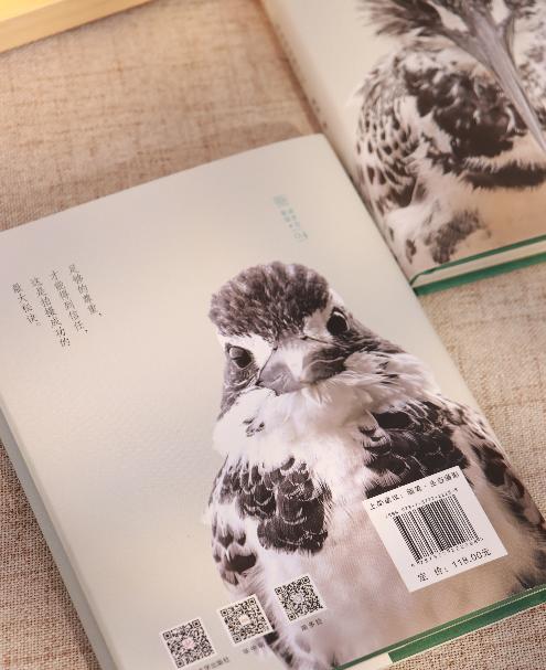 油麻菜新书《生而有灵》·【签名版】 “最精彩的故事就在身边”带你走进未曾见过的世界 商品图3