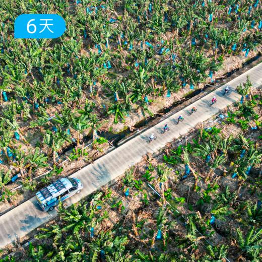 第一届  |  西双版纳·雨林公路骑行节  4+2骑行保障车跟随 骑行零基础可玩 6日 商品图7