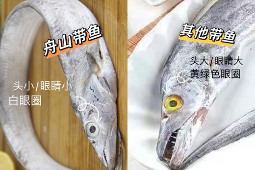 舟山野生雷达网带鱼25.8元1箱约2斤7-9条装，预售周五到 商品图9