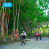 第一届  |  西双版纳·雨林公路骑行节  4+2骑行保障车跟随 骑行零基础可玩 6日 商品缩略图4