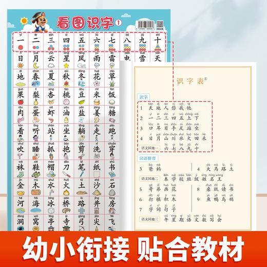 【斗半匠】看图识字挂图3-6岁幼小衔接大字注音趣味图文识字贴合教材 商品图1