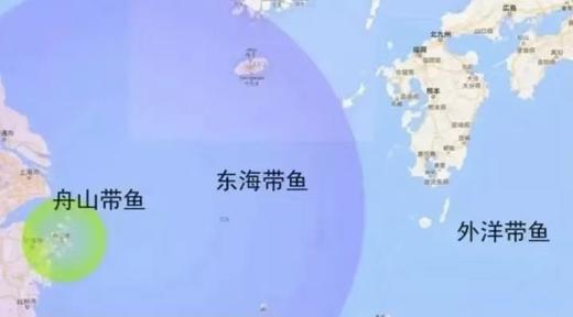 舟山野生雷达网带鱼25.8元1箱约2斤7-9条装，预售周五到 商品图8