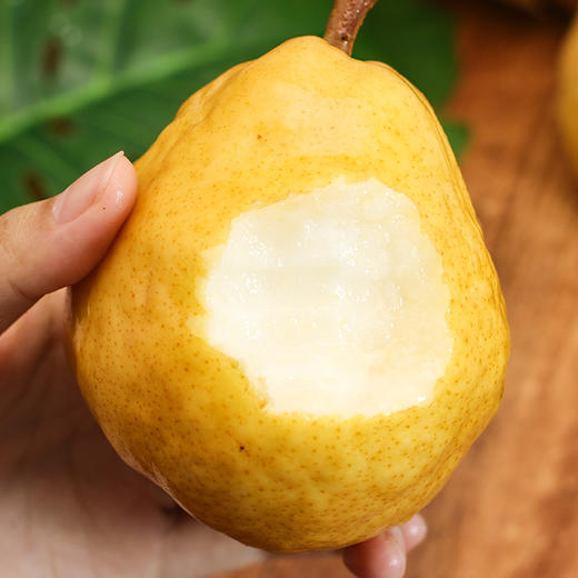 【冰淇淋丑梨】产自北纬37°的山东威海，细腻软糯，嫩白甜糯，不早采不催熟 商品图1