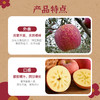 【尹哥专属】昭通丑苹果丨脆甜多汁丨核心产区乌蒙山孕育 商品缩略图3