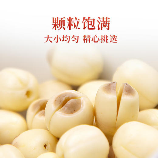 建莲 建宁通心白莲 300g 商品图3