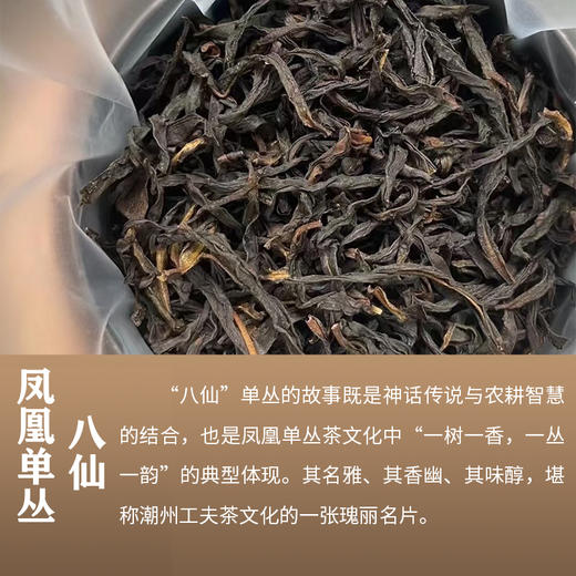 广东-凤凰单丛茶叶礼盒(5款单丛茶组合） 商品图3