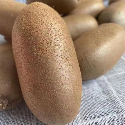 【顺丰快递】陕西周至 金福猕猴桃 超甜绿心鲜果 奇异果  - BXX 商品图6