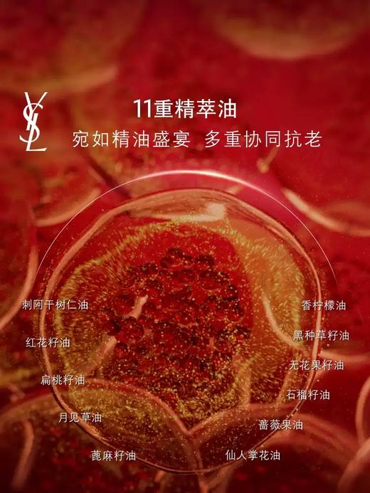 YSL 圣罗兰全新藏金奢妍精萃油 30ml  LF577500-F 商品图3