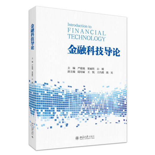 金融科技导论 严骏驰 崔丽欣 白璐 主编 北京大学出版社 商品图0
