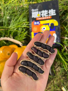 逐南味花生