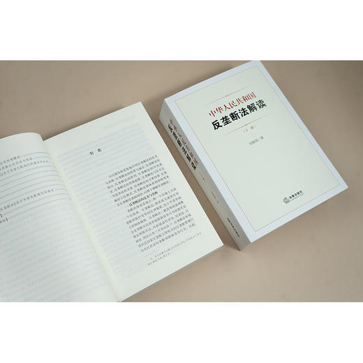 中华人民共和国反垄断法解读（上下册） 吴振国著 法律出版社 商品图2