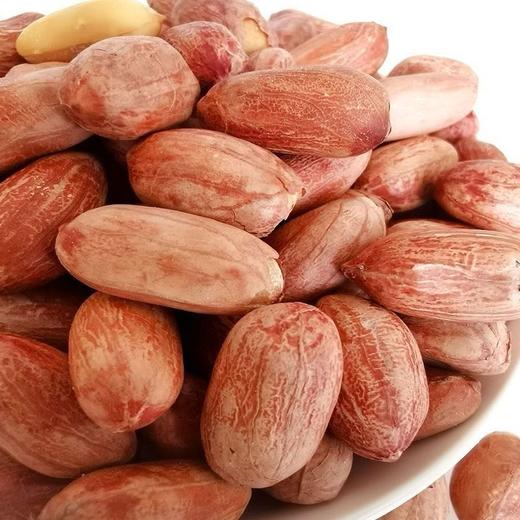 浩客嘉黄芪党参烤花生 商品图1