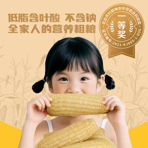 小谷队 大穗甜糯白玉米 260g*8 商品图5