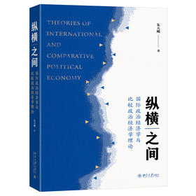 纵横之间：国际政治经济学与比较政治经济学理论 朱天飚 著 北京大学出版社