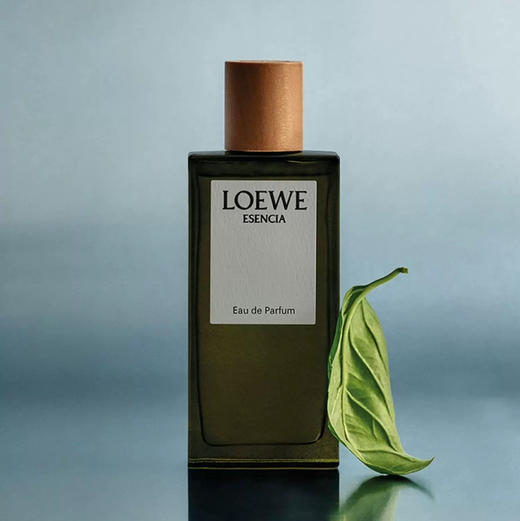 【木质香】西班牙 LOEWE罗意威 黑色圆舞曲男士香水 50ml/100ml 商品图1