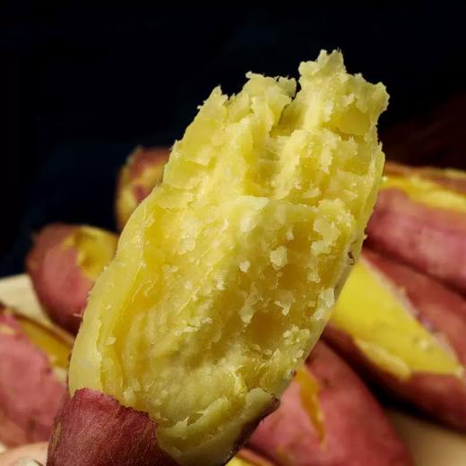 北田干面红薯【5斤29元】丨长地里的“糖炒栗子” 果肉饱满 商品图1