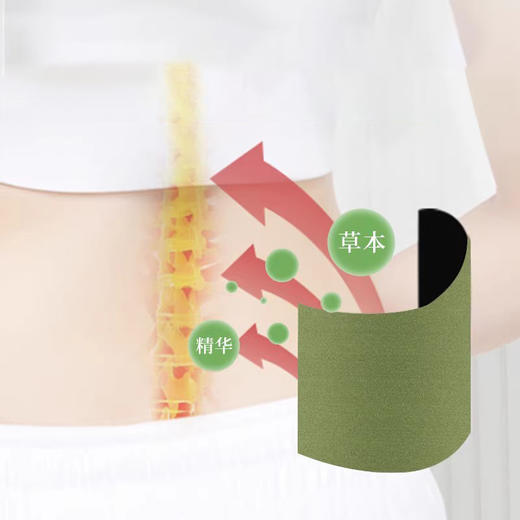 【臻宛艾 艾草通用贴】发热帖关节帖膝关节腰关节颈关节艾叶贴 12贴/盒 商品图3