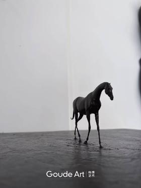 任亮《黑马之遥》50版