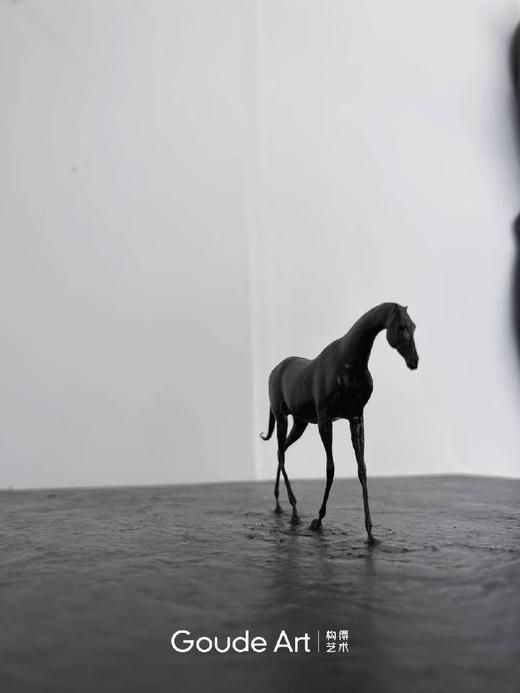 任亮《黑马之遥》50版 商品图0