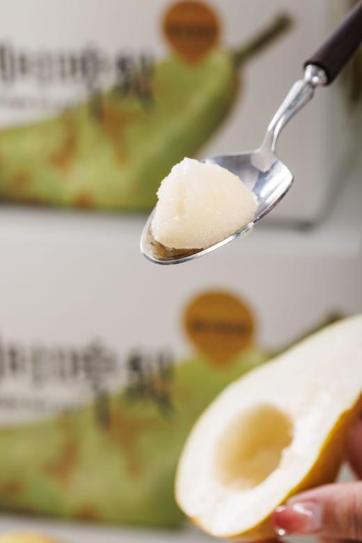 比利时啤梨丨啤梨需要放软食用，口感软甜爆汁，水分充足，放软以后可以在冰箱冷藏一下感觉吃冰淇淋一样，喜欢吃梨的朋友不要错过！⭐️顺丰快递 商品图1