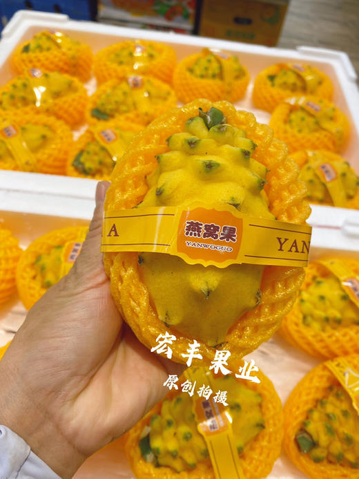 【宏丰精选】燕窝果，口感纯甜，活动价19.8元一个 商品图4